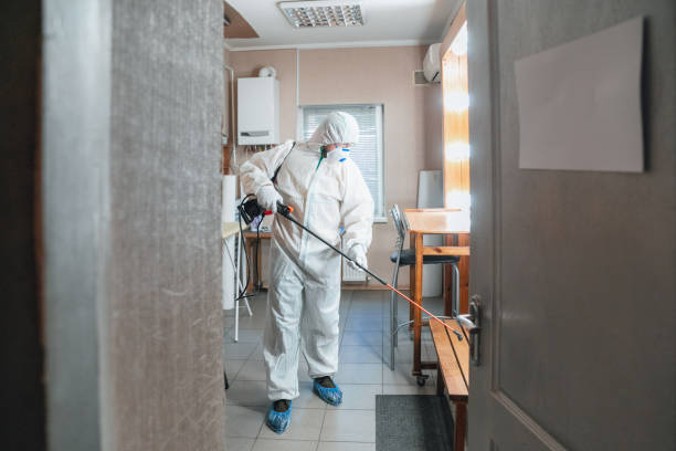 Best Black Mold Removal  in Tuskegee, AL